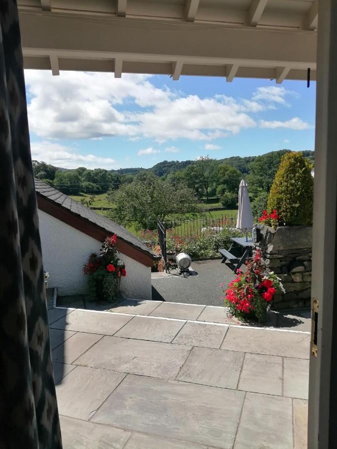 The Brown Horse 3*